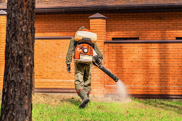 Bed Bug Clearance Verification and Documentation in Solon